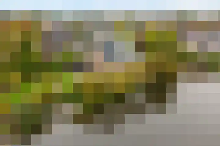 Zaaimansakker 27 Dedemsvaart thumbnail 68