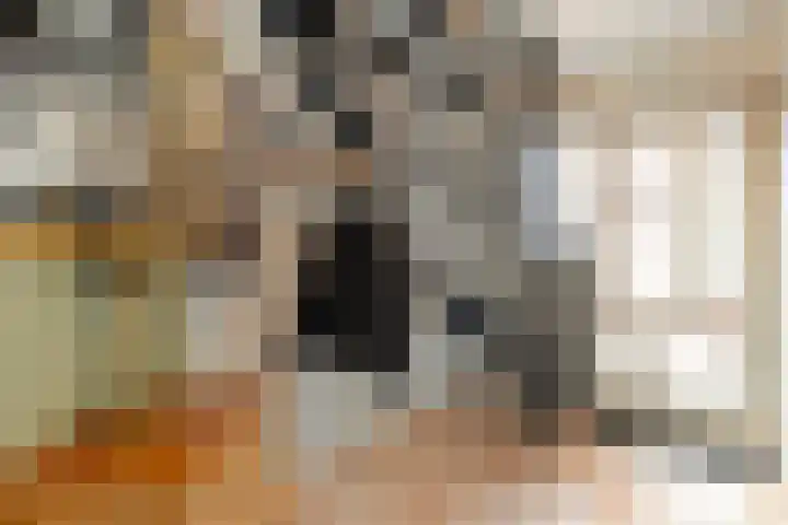 Zaaimansakker 27 Dedemsvaart thumbnail 7