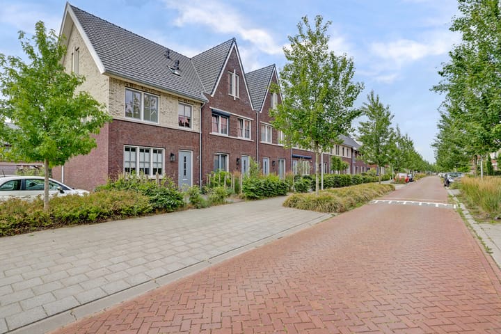 Zaaivat 2 in Hendrik-Ido-Ambacht photo