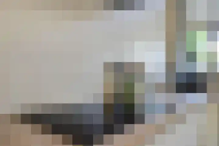 Zaaivat 2 Hendrik-Ido-Ambacht thumbnail 10