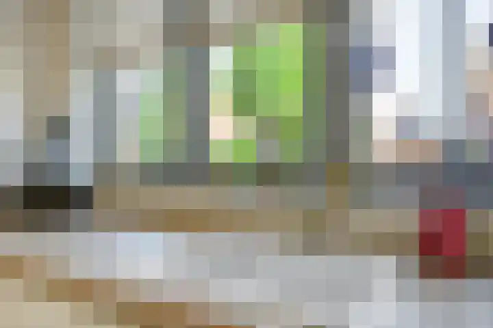 Zaaivat 2 Hendrik-Ido-Ambacht thumbnail 11
