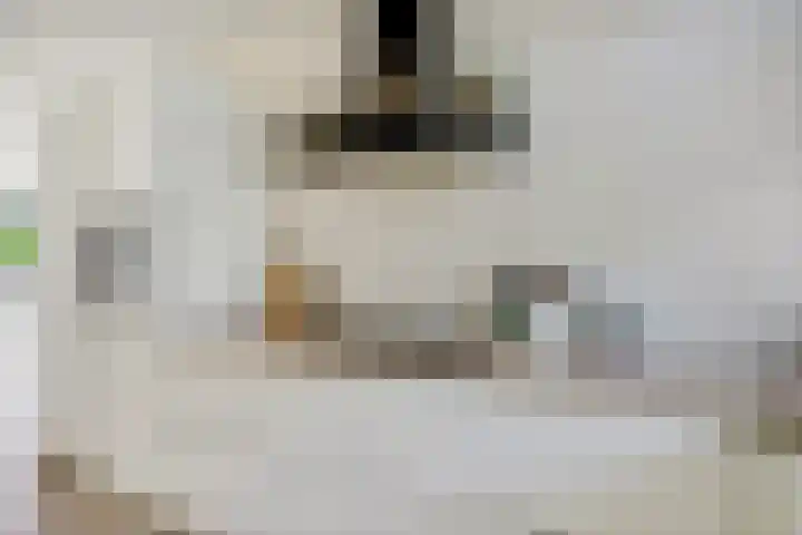 Zaaivat 2 Hendrik-Ido-Ambacht thumbnail 13