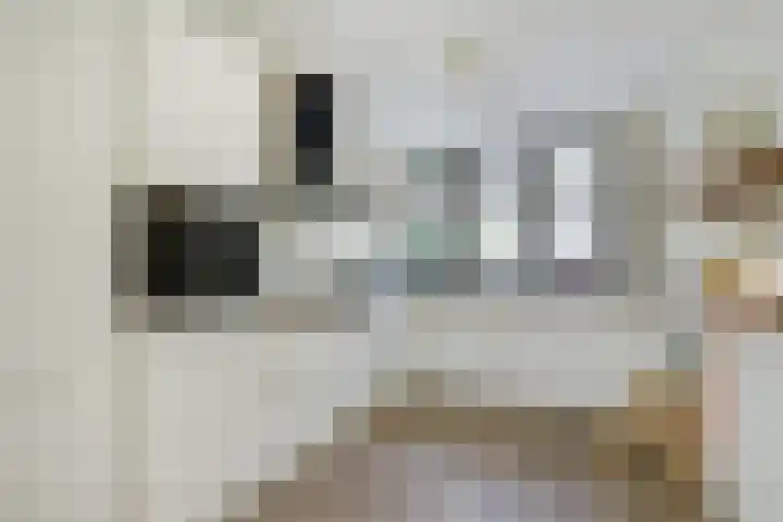 Zaaivat 2 Hendrik-Ido-Ambacht thumbnail 14