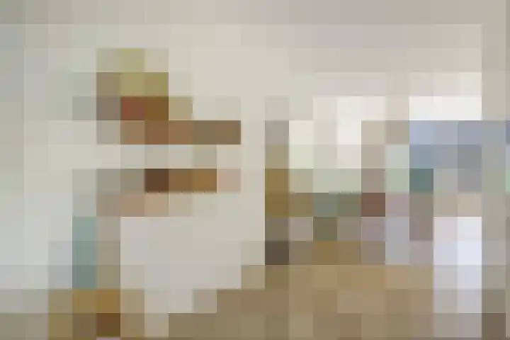 Zaaivat 2 Hendrik-Ido-Ambacht thumbnail 16