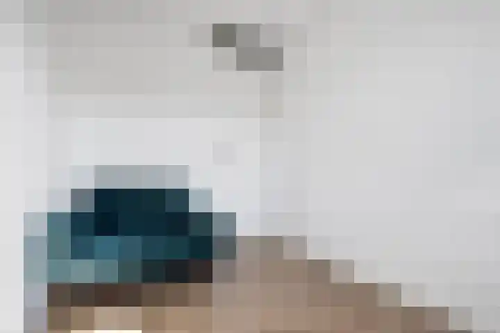 Zaaivat 2 Hendrik-Ido-Ambacht thumbnail 19