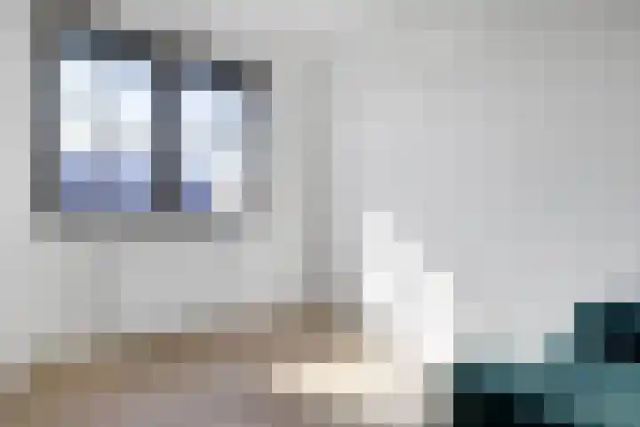 Zaaivat 2 Hendrik-Ido-Ambacht thumbnail 20