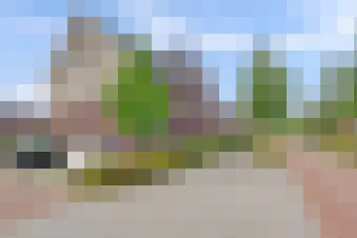Zaaivat 2 Hendrik-Ido-Ambacht thumbnail 26