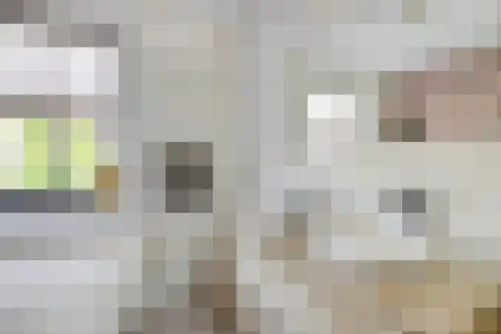 Zaaivat 2 Hendrik-Ido-Ambacht thumbnail 30