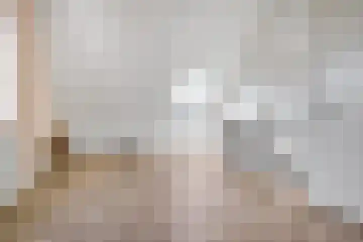 Zaaivat 2 Hendrik-Ido-Ambacht thumbnail 33