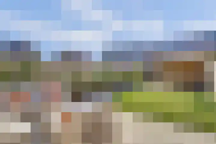 Zaaivat 2 Hendrik-Ido-Ambacht thumbnail 35