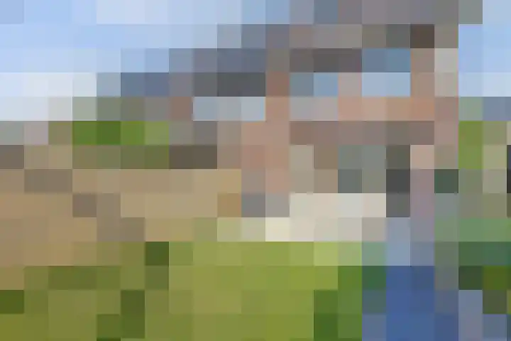 Zaaivat 2 Hendrik-Ido-Ambacht thumbnail 37