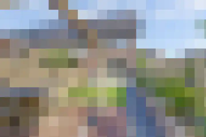 Zaaivat 2 Hendrik-Ido-Ambacht thumbnail 38