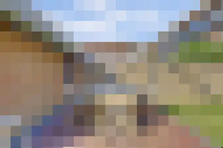 Zaaivat 2 Hendrik-Ido-Ambacht thumbnail 39