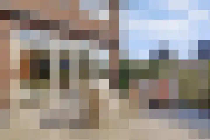 Zaaivat 2 Hendrik-Ido-Ambacht thumbnail 40