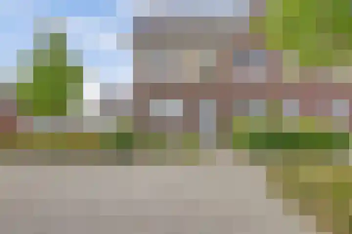 Zaaivat 2 Hendrik-Ido-Ambacht thumbnail 41