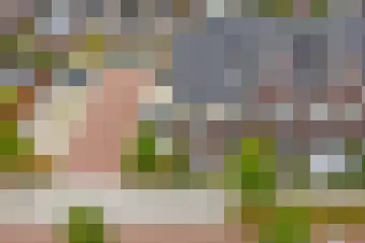 Zaaivat 2 Hendrik-Ido-Ambacht thumbnail 42