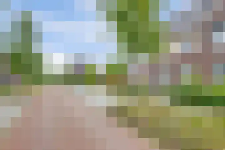 Zaaivat 2 Hendrik-Ido-Ambacht thumbnail 43