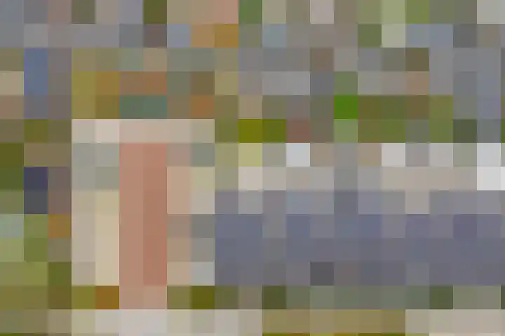 Zaaivat 2 Hendrik-Ido-Ambacht thumbnail 44