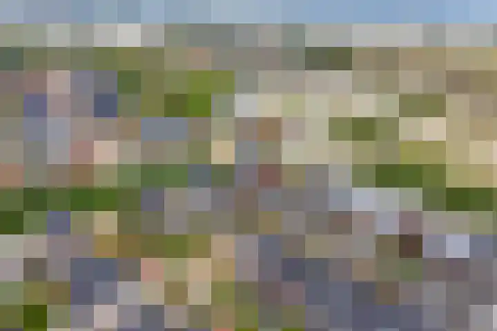Zaaivat 2 Hendrik-Ido-Ambacht thumbnail 49