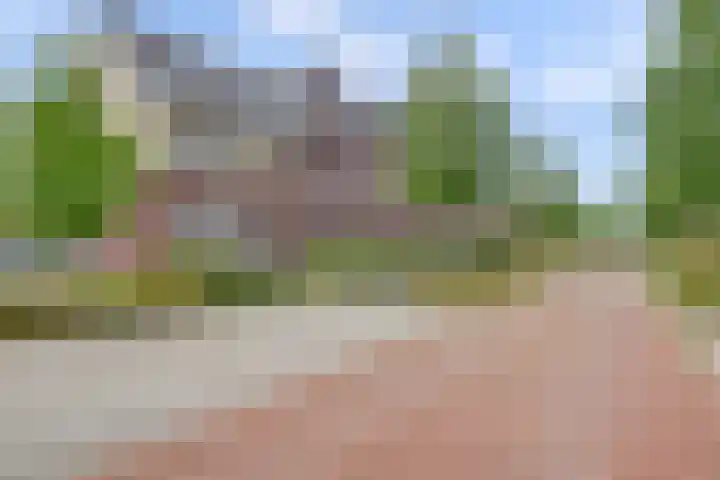 Zaaivat 2 Hendrik-Ido-Ambacht thumbnail 55
