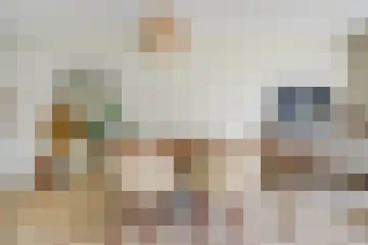 Zaaivat 2 Hendrik-Ido-Ambacht thumbnail 8