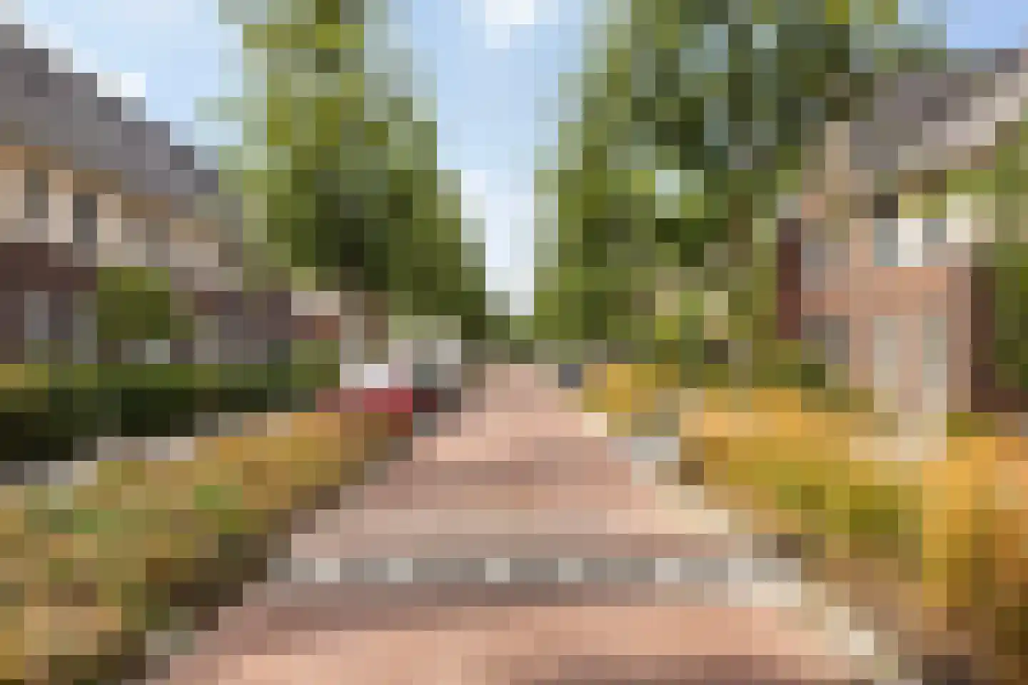 Zaaivat 3 Hendrik-Ido-Ambacht thumbnail 10