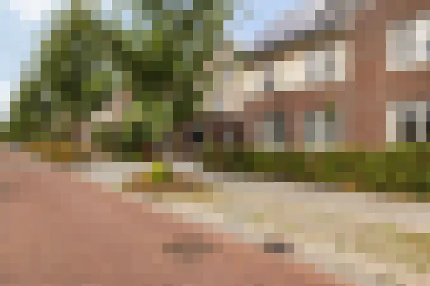 Zaaivat 3 Hendrik-Ido-Ambacht thumbnail 11