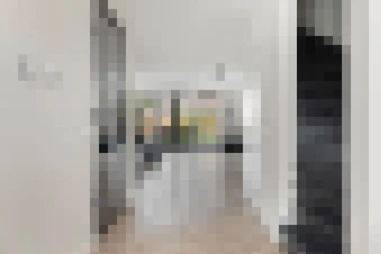 Zaaivat 3 Hendrik-Ido-Ambacht thumbnail 14