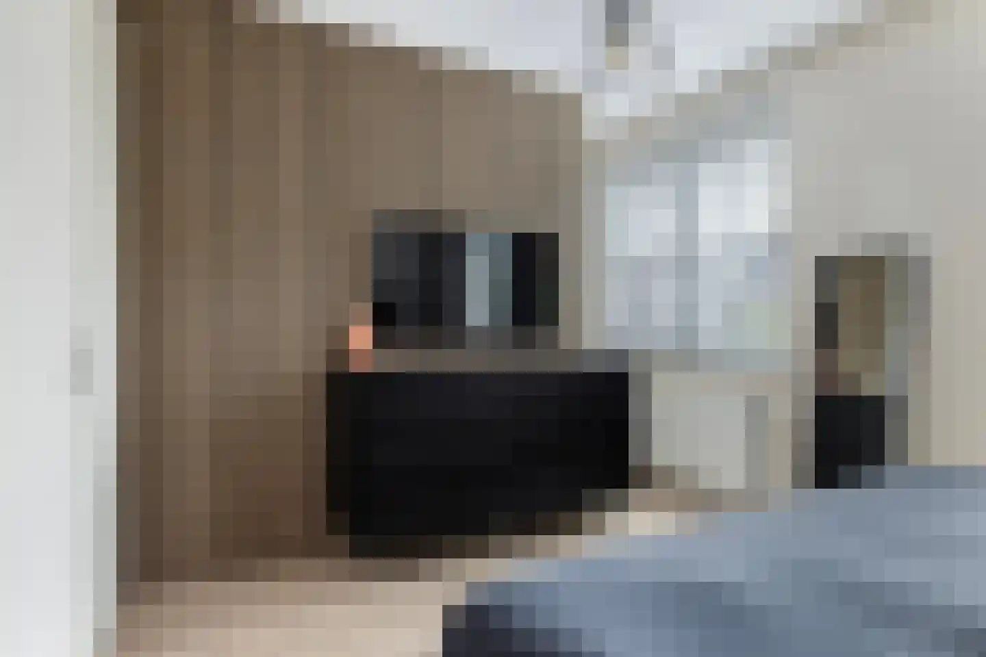 Zaaivat 3 Hendrik-Ido-Ambacht thumbnail 29