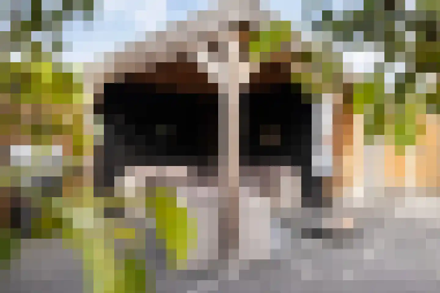 Zaaivat 3 Hendrik-Ido-Ambacht thumbnail 42
