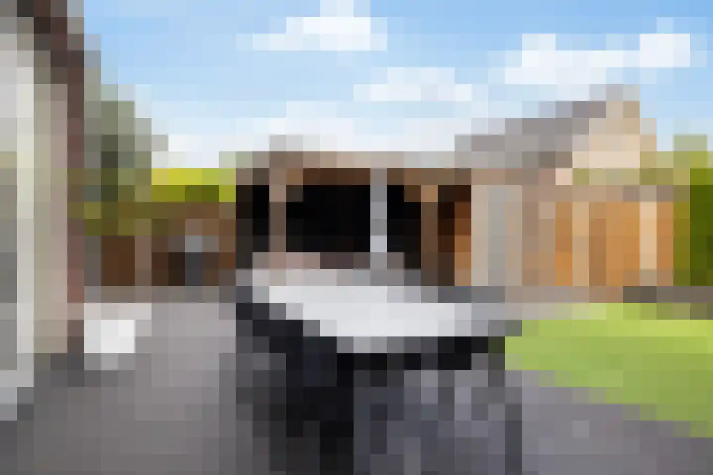 Zaaivat 3 Hendrik-Ido-Ambacht thumbnail 43