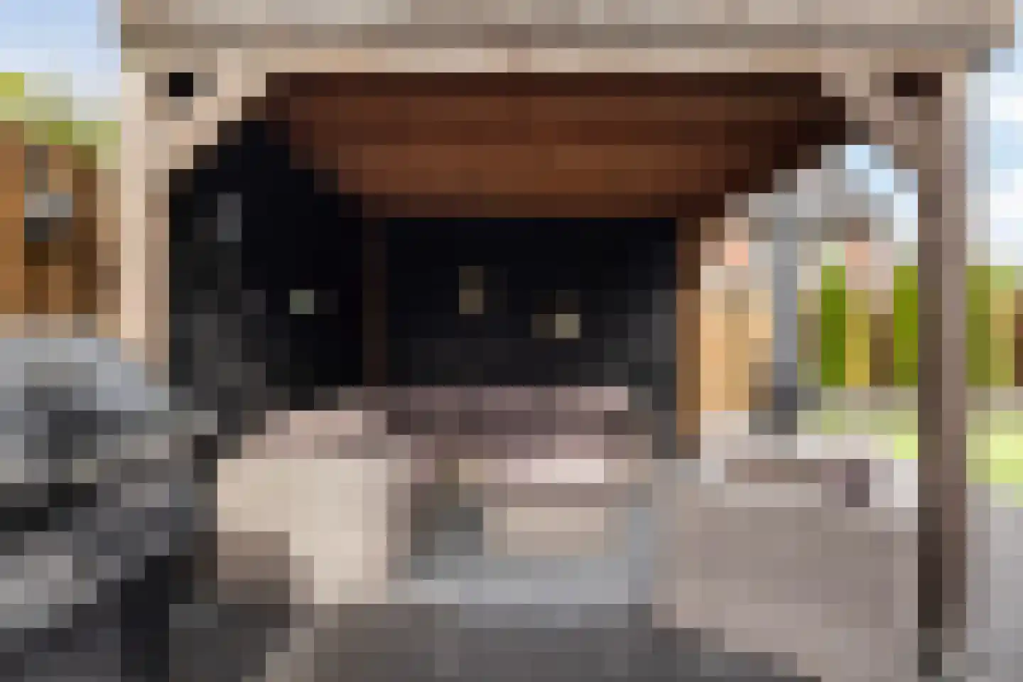 Zaaivat 3 Hendrik-Ido-Ambacht thumbnail 44
