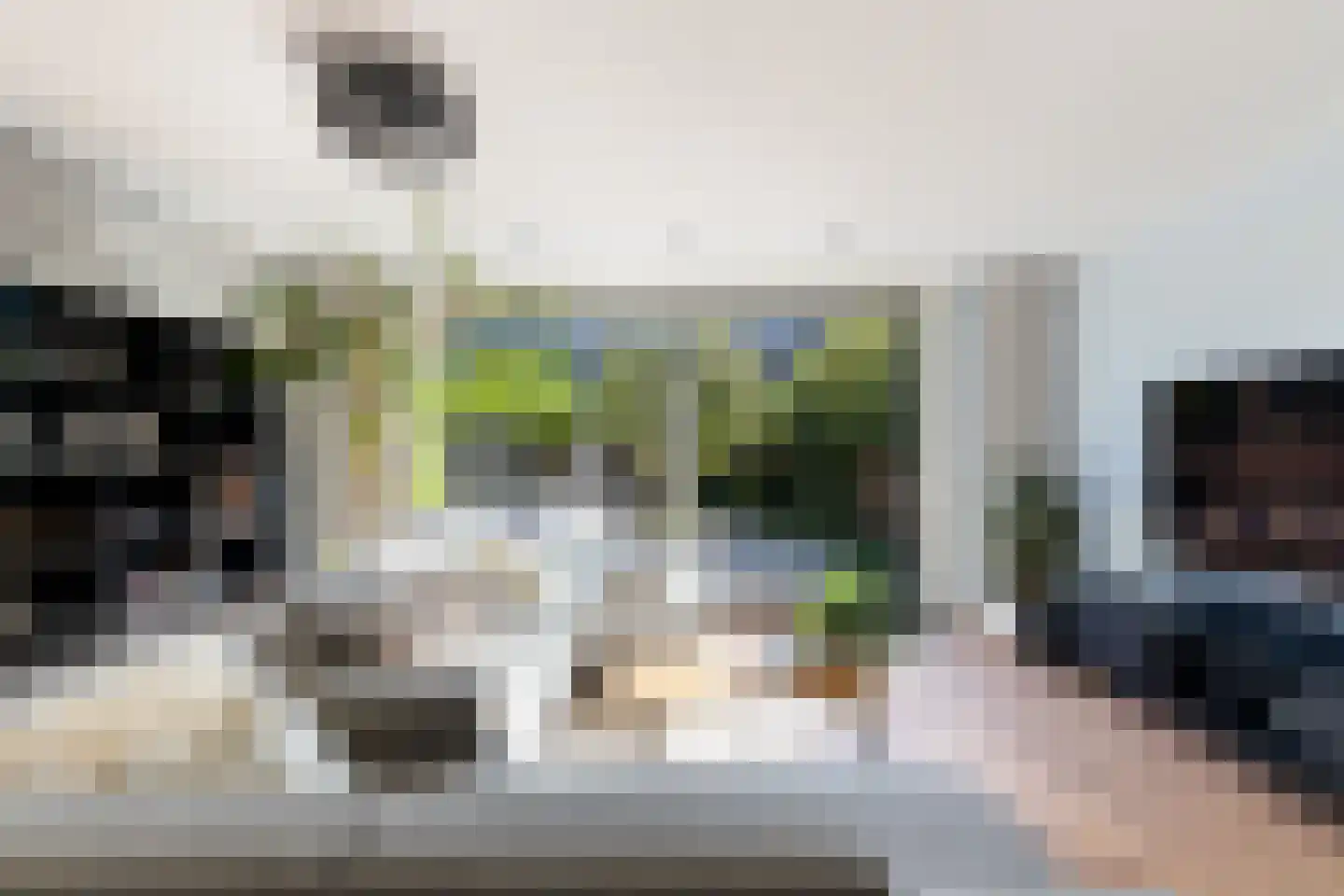 Zaaivat 40 Hendrik-Ido-Ambacht thumbnail 10
