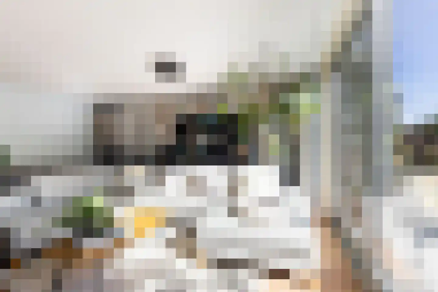 Zaaivat 40 Hendrik-Ido-Ambacht thumbnail 14