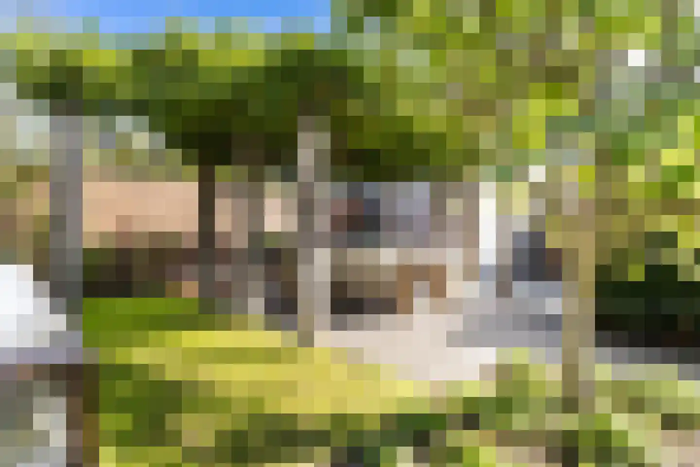 Zaaivat 40 Hendrik-Ido-Ambacht thumbnail 46