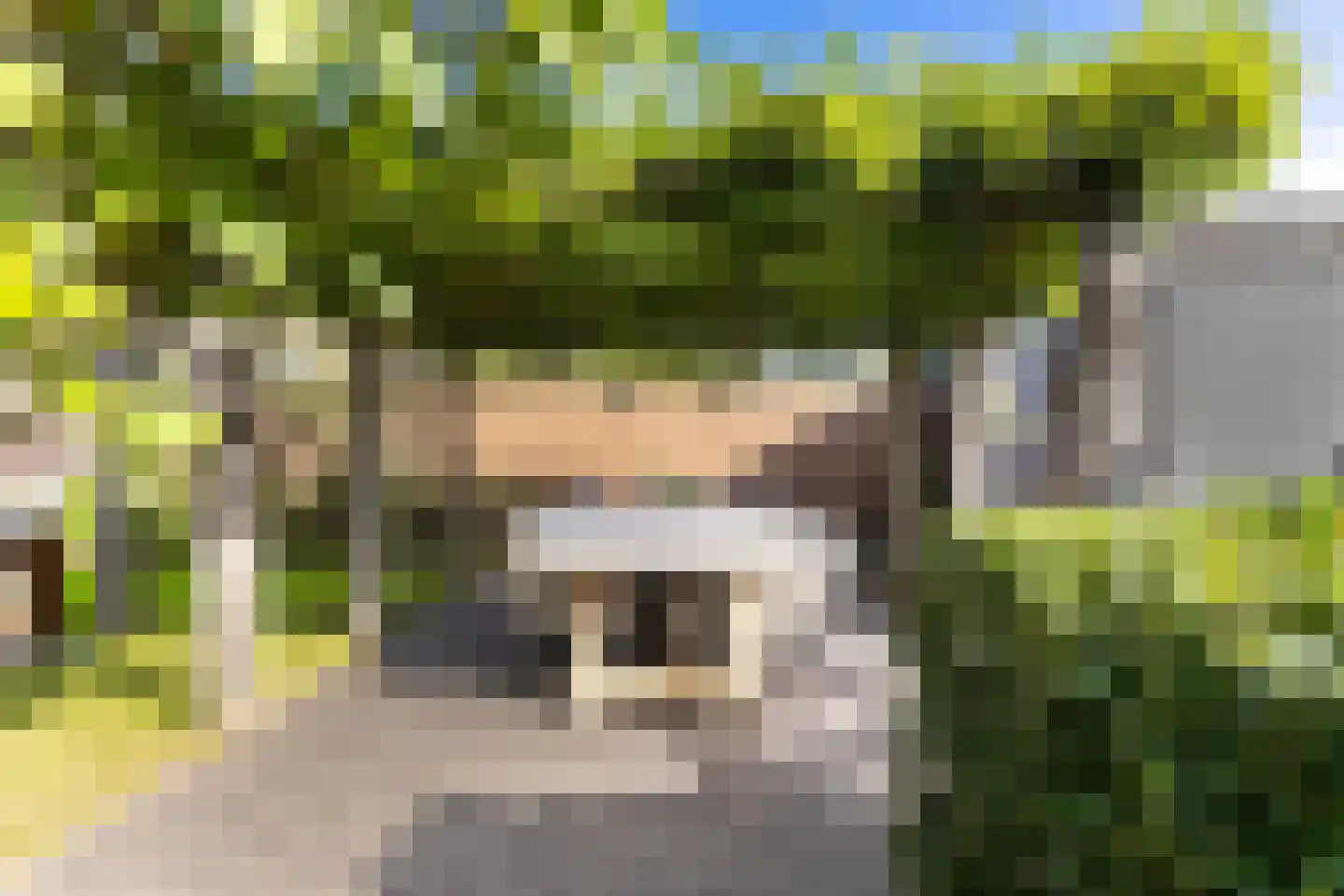 Zaaivat 40 Hendrik-Ido-Ambacht thumbnail 47