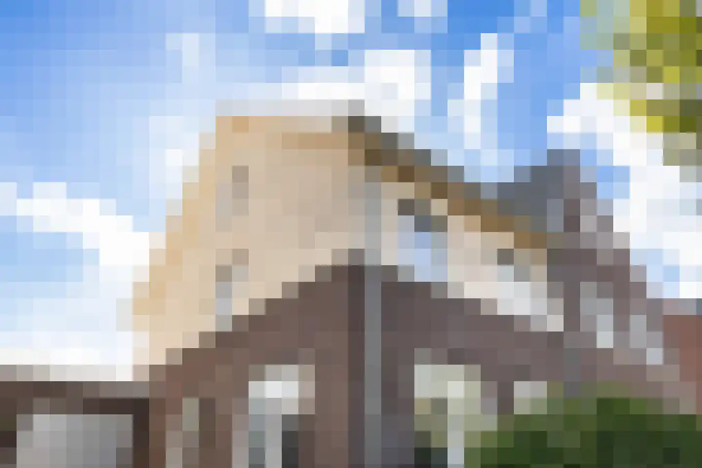 Zaaivat 40 Hendrik-Ido-Ambacht thumbnail 51