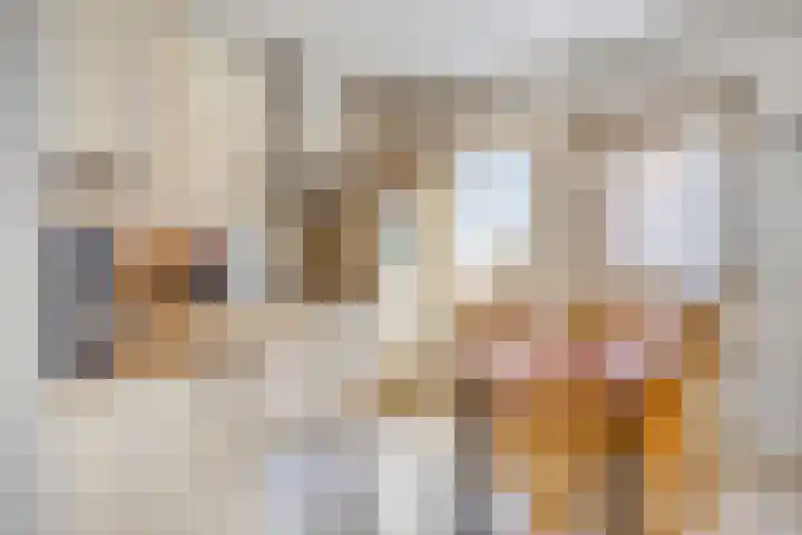 Zaaiviool 10 Berghem thumbnail 11