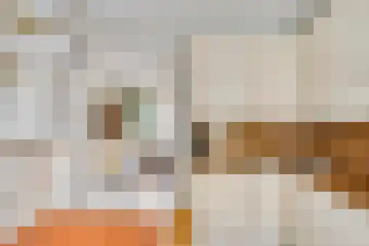 Zaaiviool 10 Berghem thumbnail 12