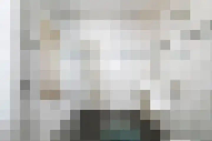 Zaaiviool 10 Berghem thumbnail 20