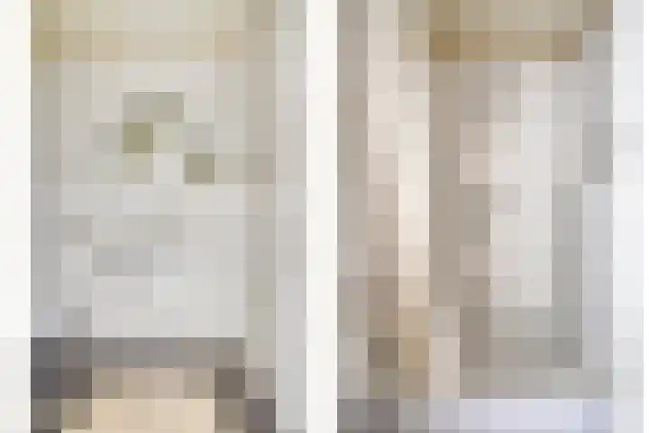 Zaaiviool 10 Berghem thumbnail 21