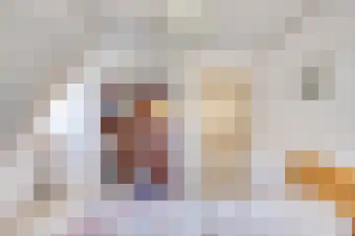 Zaaiviool 10 Berghem thumbnail 23