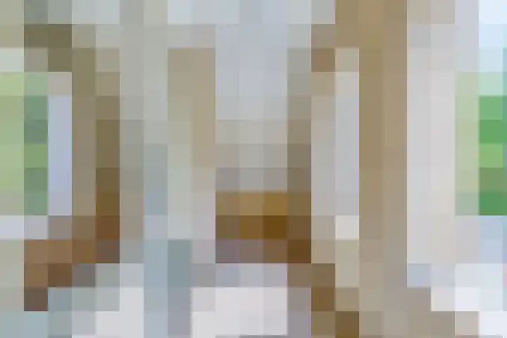 Zaaiviool 10 Berghem thumbnail 27