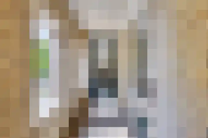Zaaiviool 10 Berghem thumbnail 28
