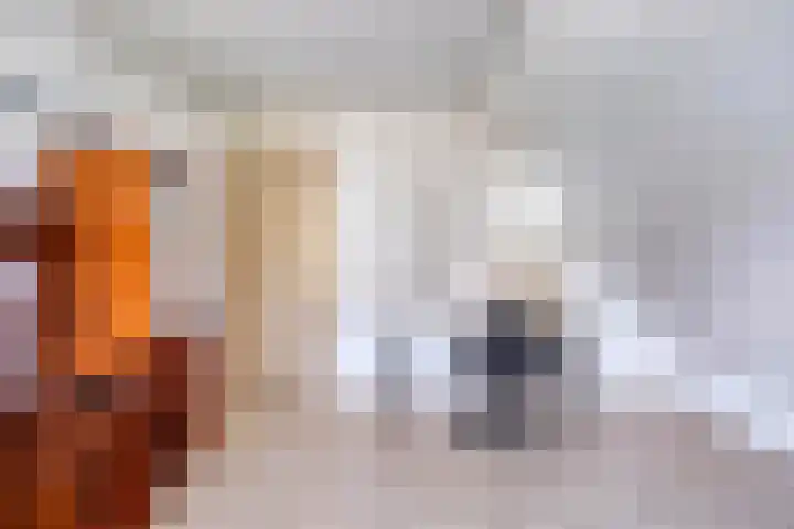 Zaaiviool 10 Berghem thumbnail 34