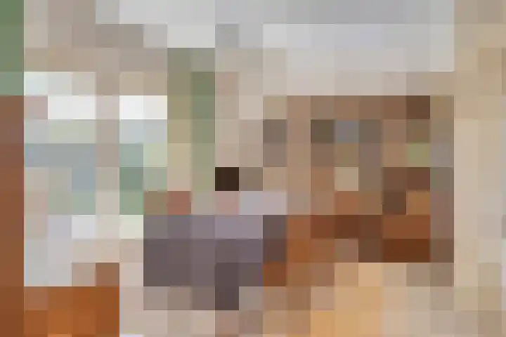 Zaaiviool 10 Berghem thumbnail 8