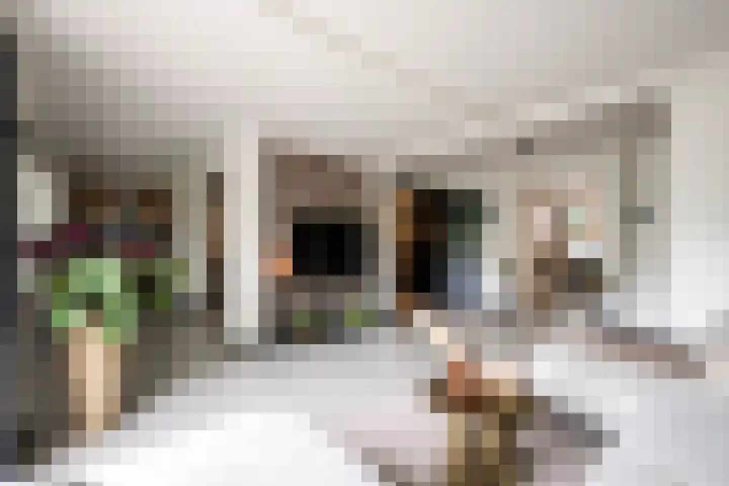 Zaaiviool 11 Berghem thumbnail 10