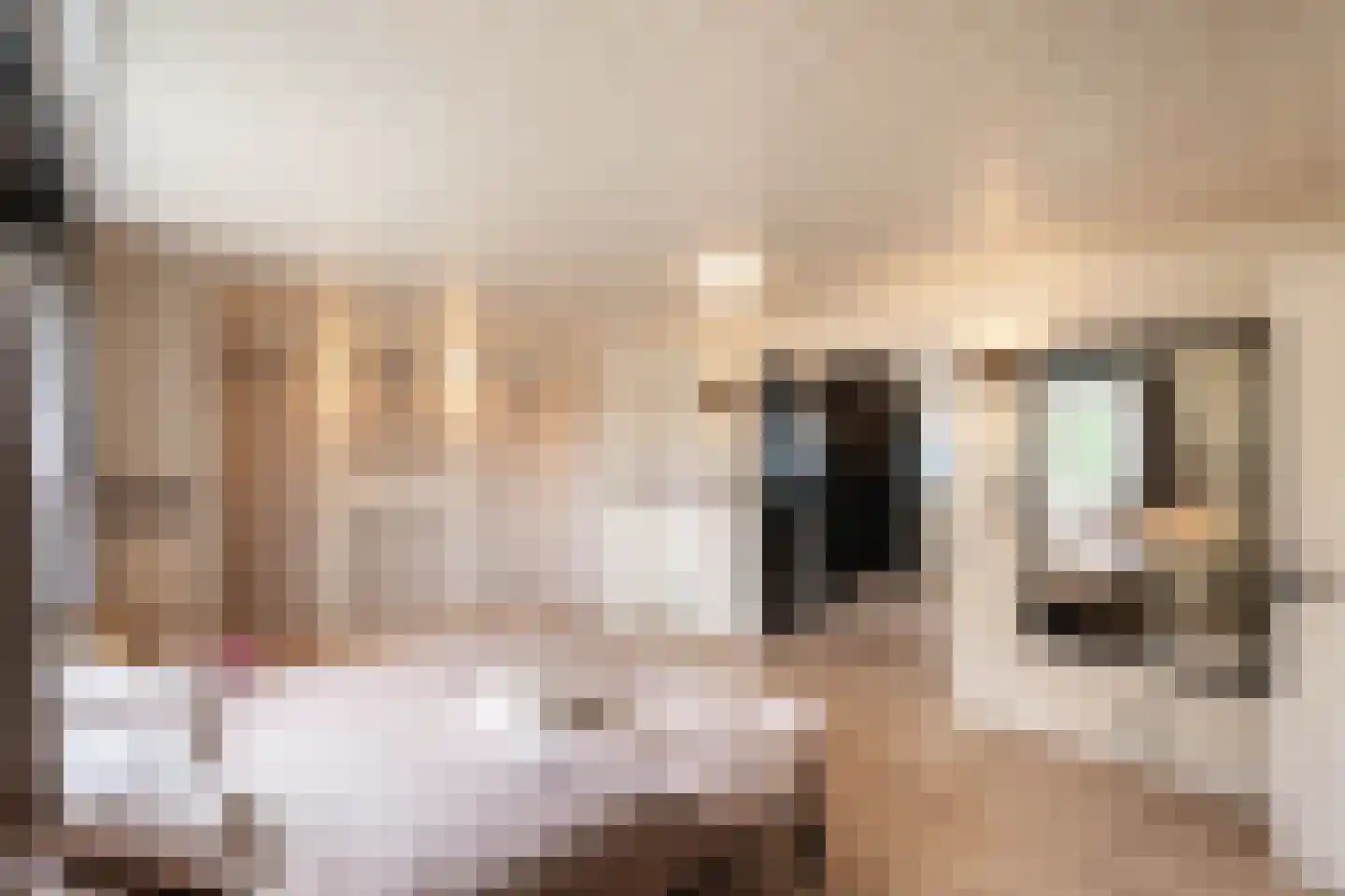 Zaaiviool 11 Berghem thumbnail 21