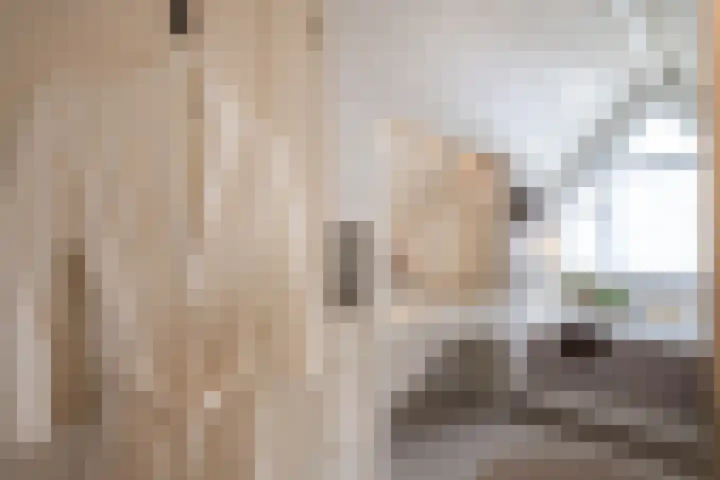Zaaiviool 11 Berghem thumbnail 27