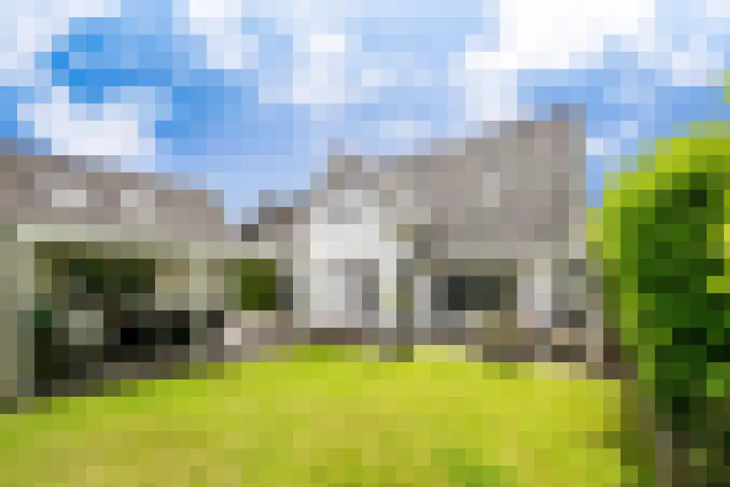 Zaaiviool 11 Berghem thumbnail 31
